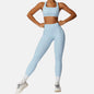 BlushFlex Seamless Activewear Set